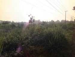 KABEL PLN TERLEPAS, WARGA GROGOL KEDIRI BERESIKO TERKENA BAHAYA LISTRIK