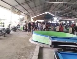 Dadu Muter, Jagoan Adu, Warga Takon: Nang Endi Penegakan Hukume?